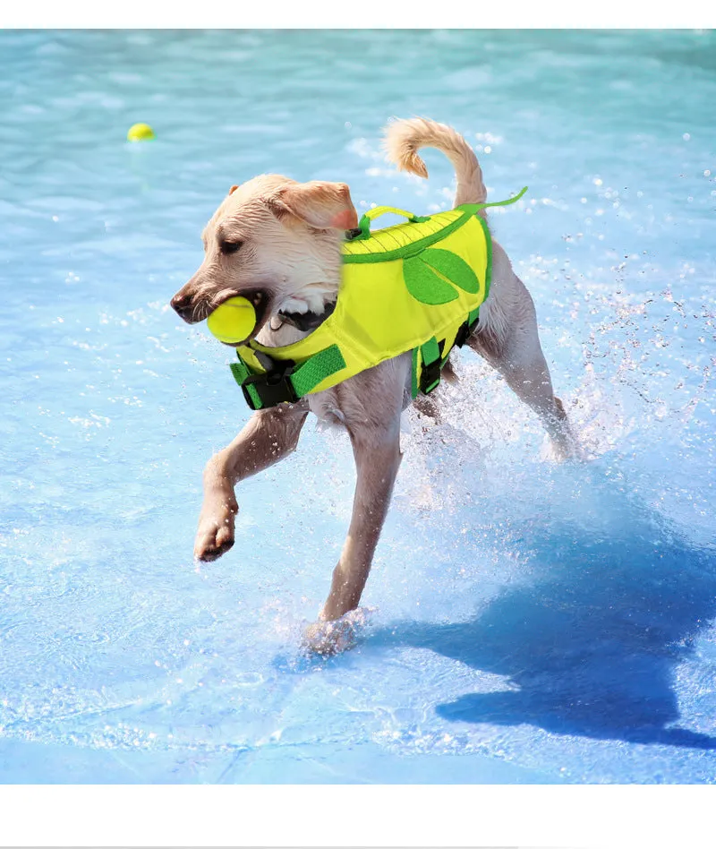 Buzzing Buddy Life Jacket