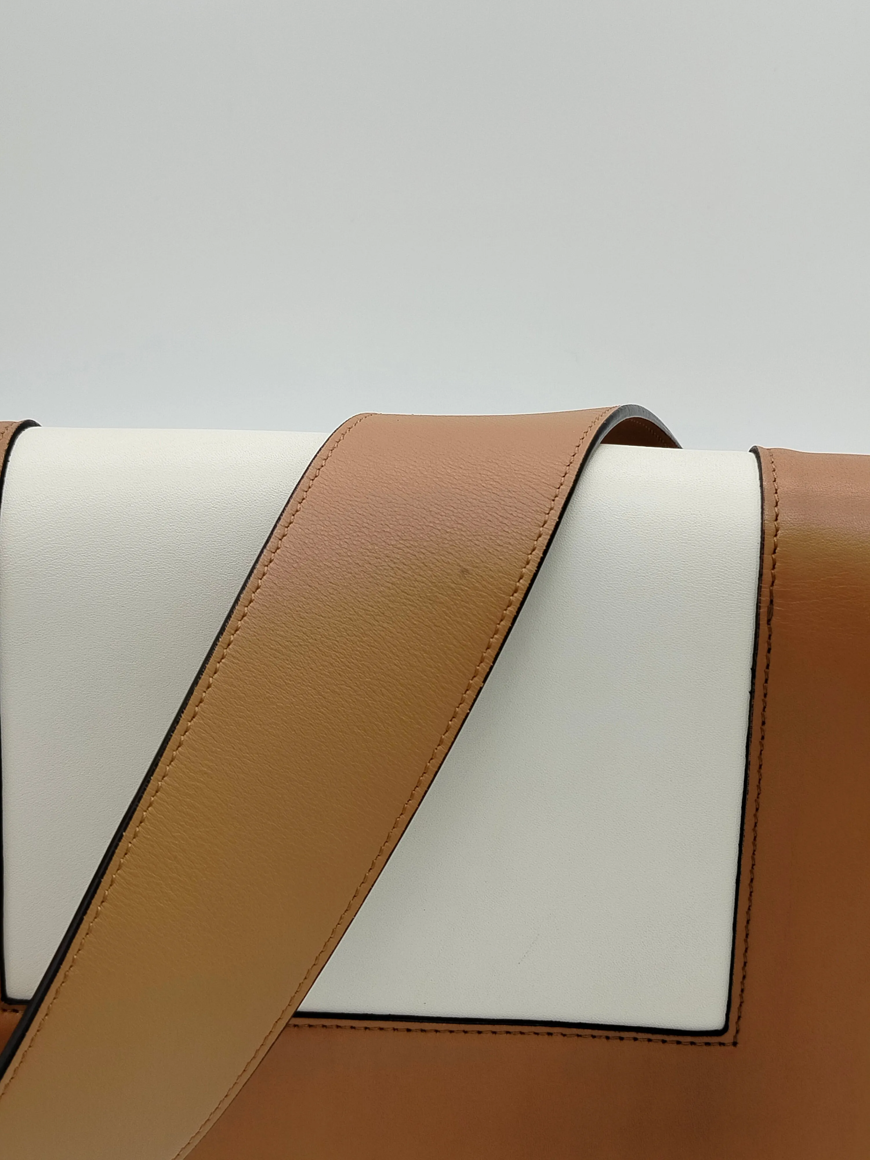 CELINE Celine Frame Bag