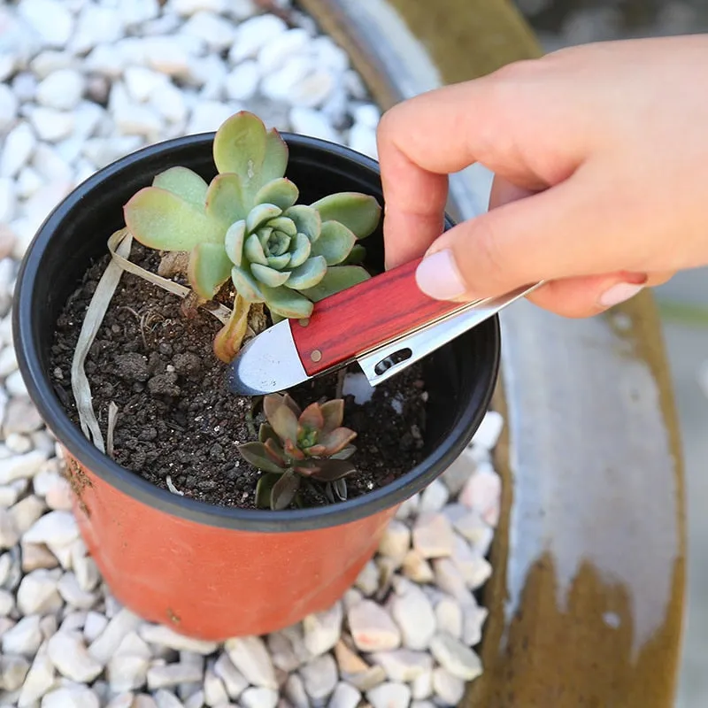 Collapsible Grafting Knife Seedlings
