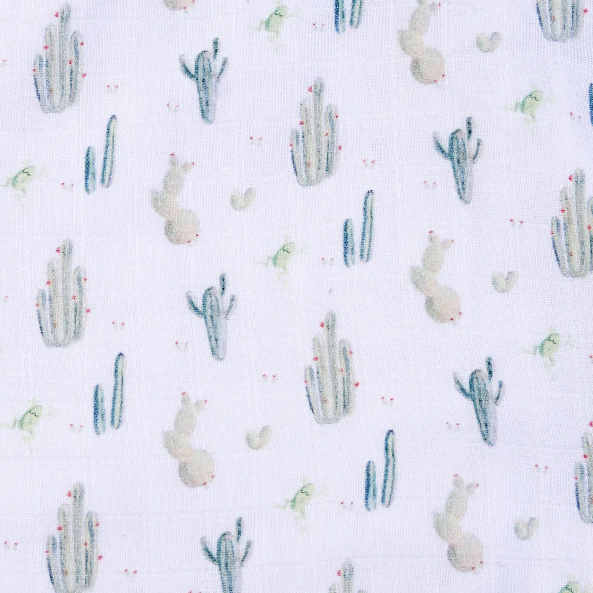 Little Crevette Large Swaddle Cactus