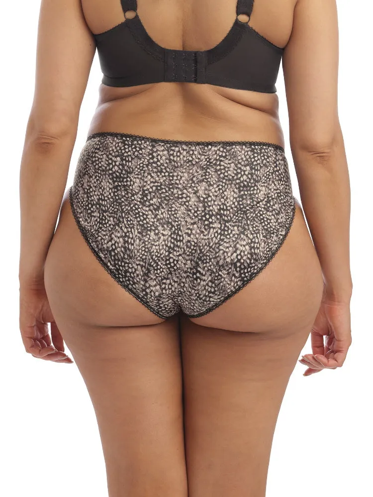 Morgan Brief