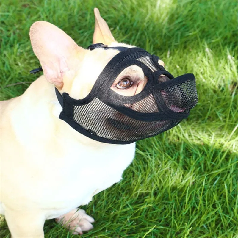 MuzzleBuddy Protection Mask
