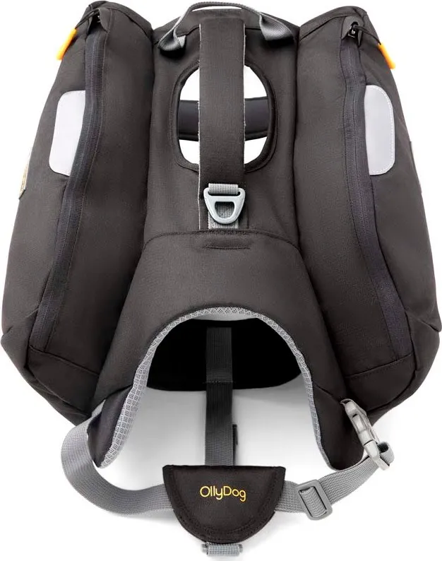OllyDog Rover Dog Pack Raven | Buy OllyDog Rover Dog Pack Raven here | Outnorth