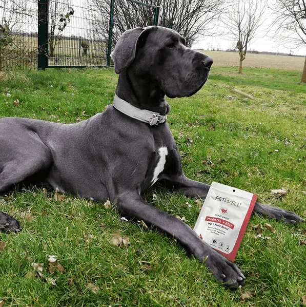 PetWell MOBILITY   BEEF Functional Treats