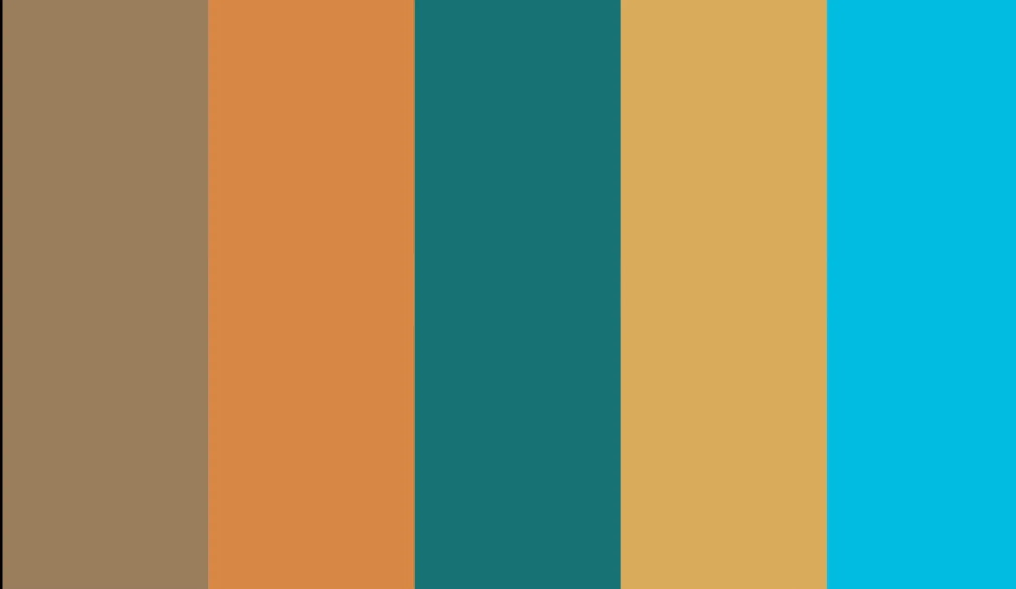 Poca hontas Color Palette Bundle - HTV - Siser EasyWeed Bundle