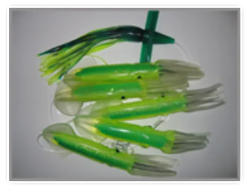 Squid Daisy Chain Teaser