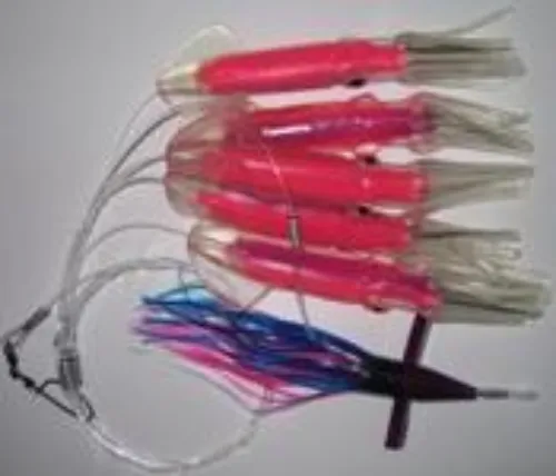 Squid Daisy Chain Teaser