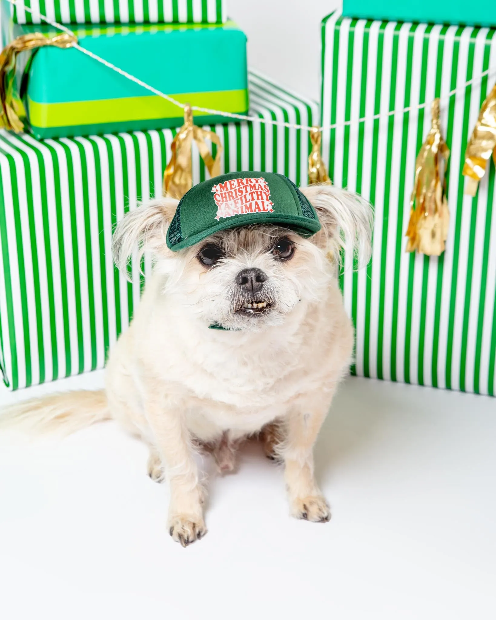 Ya Filthy Animal Holiday Pet Trucker Hat (DOG & CO. EXCLUSIVE)